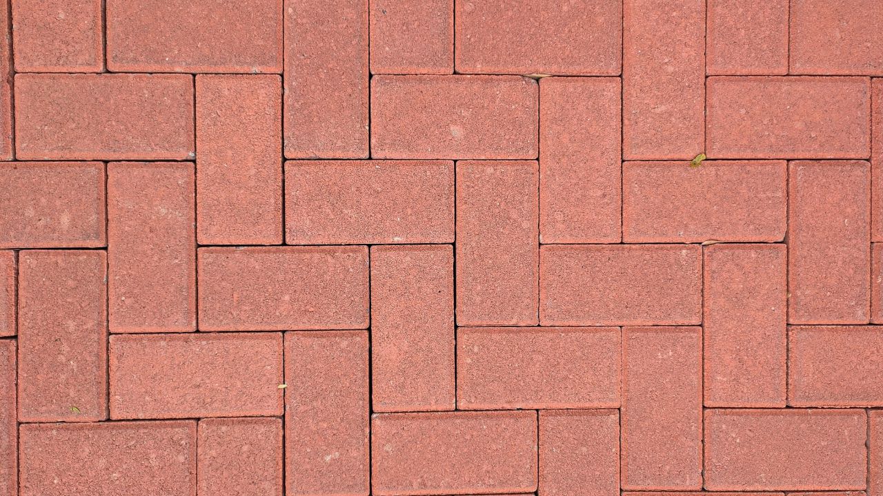 Section Image